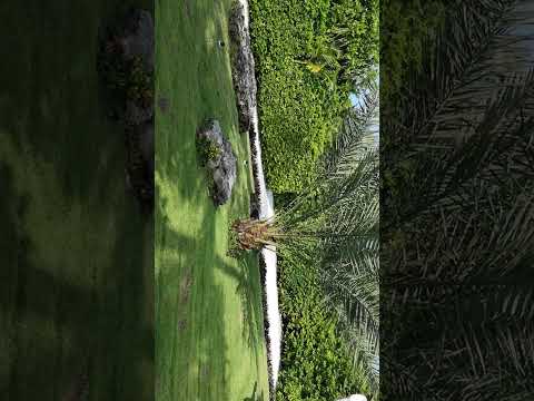 # Arabic Restaurant of Fanditha @one and only reethi rah resort Maldives 🇲🇻..