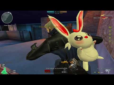 Crossfire West: Steyr TMP-Rebel HMX Rooftop