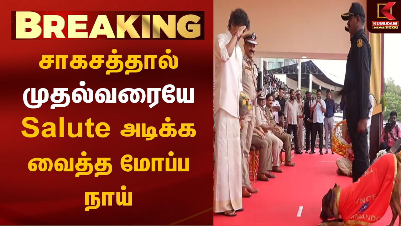 தமிழக காவல்துறையின் அணிவகுப்புகளை பார்வையிட்ட முதல்வர்  | CM Vijay | Anchor | TVK | Police