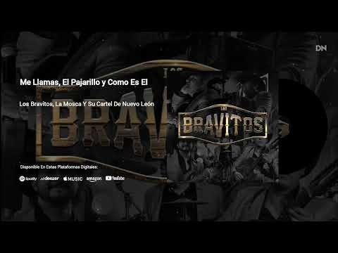 Los Bravitos, La Mosca Y Su Cartel De Nuevo León - Me Llamas, El Pajarillo y Como Es El (Audio)