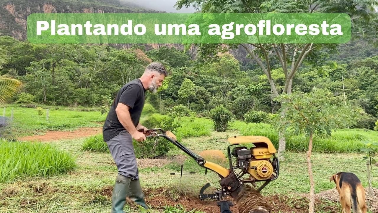 AGROFLORESTA: MEU SONHO REALIZADO! /My Agroforestry Dream Realized!
