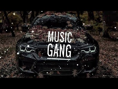 FILV - AVR YNG - LOW