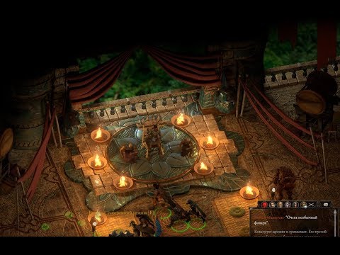 Pillars of Eternity II: Deadfire. #58. Ори о Коики и новый союз Онеказы