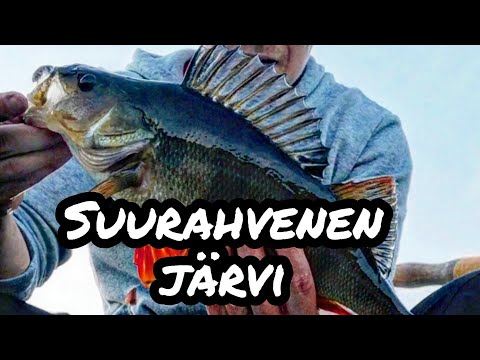 SUURAHVENEN METSÄJÄRVI ! JIGAUSTA JA MUUTA HEITTOKALASTUSTA