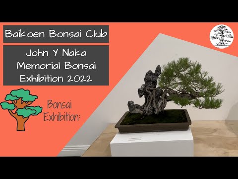 John Y Naka Memorial Bonsai Exhibition 2022 - Baikoen Bonsai Club - Safer @ Home Bonsai Series