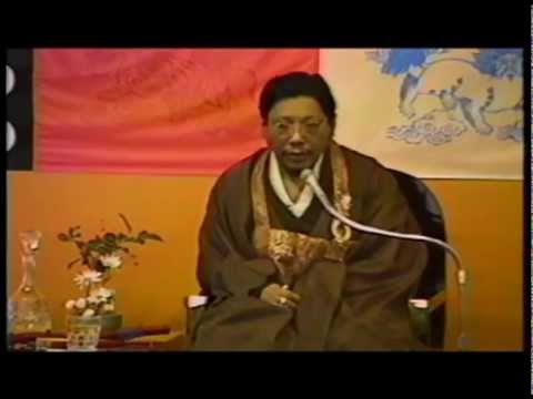 Prajna: As if the Buddha Were Talking in Your Brain -Chogyam Trungpa Rinpoche. Shambhala