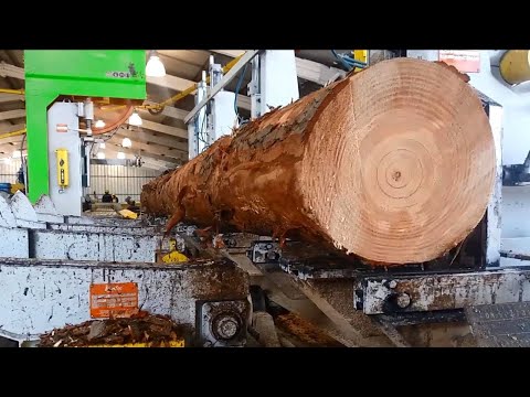 Amazing Fastest Log Cabin Build Chainsaw Skills   Building Dream Wooden House With Your Own Hands 24