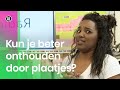 Kun je woorden beter onthouden door plaatjes? | NOJ