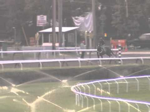 Rachel Alexandra galloping at Saratoga