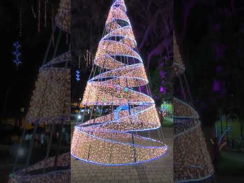 AVENIDA DE LOS SAMANAS LA VIRGINIA RISARALDA SE CONVIERTE ENUN MAGICO PAISAJE NAVIDEÑO,FIGURAS LUCES