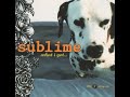 Sublime What I Got