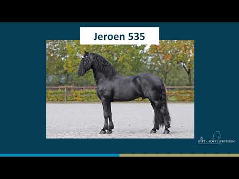Jeroen 535