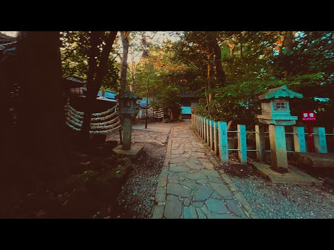 この神社には見てはいけないものがいる