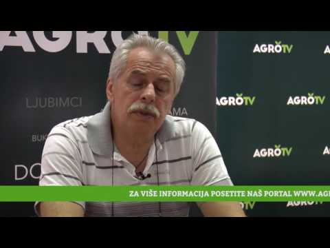 Reč struke ep. 92 04.07.2017.