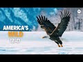 America S Wild Autumn हिन्दी डॉक्यूमेंट्री Wildlife Documentar