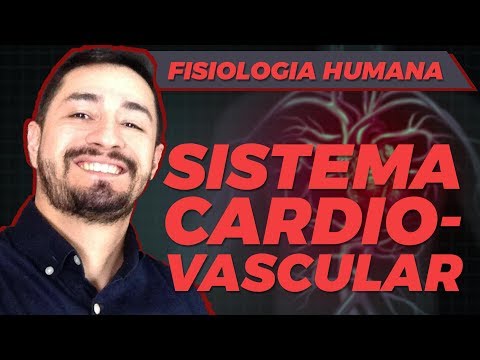 SISTEMA CIRCULATÓRIO | CORAÇÃO ARTÉRIAS E VEIAS