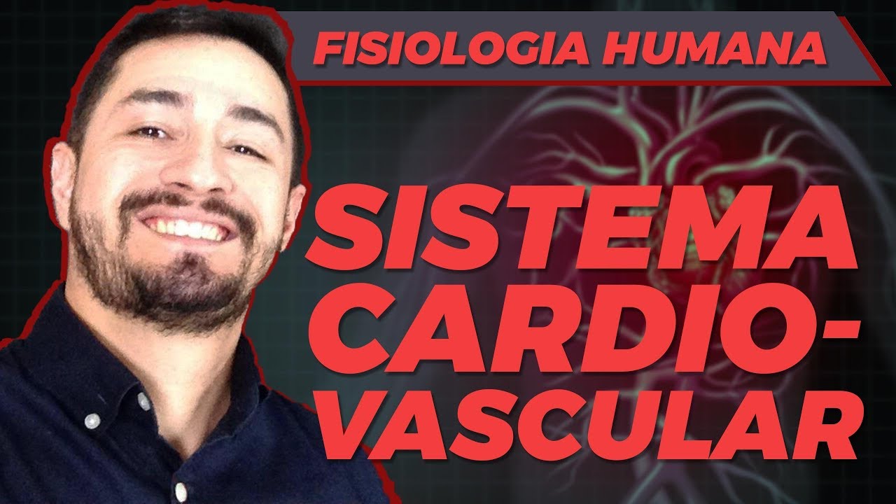 SISTEMA CIRCULATÓRIO | CORAÇÃO ARTÉRIAS E VEIAS