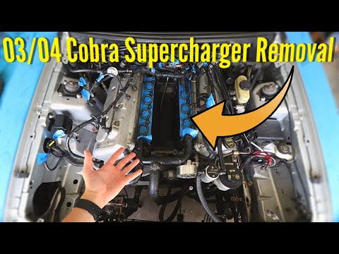 How To Remove a 2003 Cobra Supercharger | Step by Step