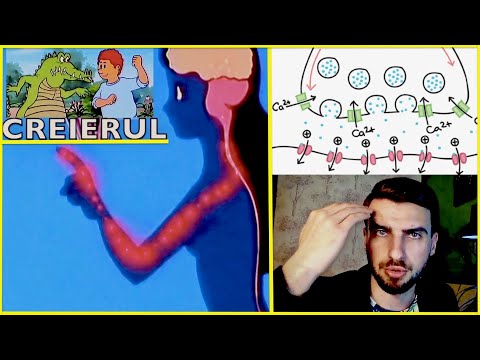 Misterele Creierului- cu Dr.Pompiliu