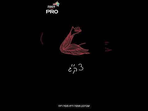 חלבון בדקה + (פרק 5): כל מה שרצית לדעת על חלבונים ולא העזת לשאול!