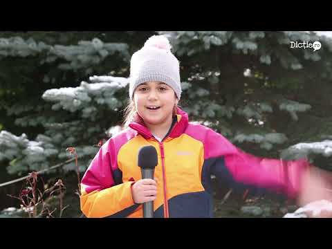 Recomandări de iarnă la munte - Daria Firica