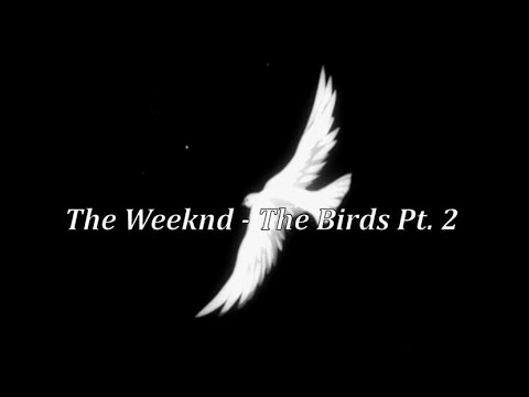 The Weeknd - The Birds Pt. 2 (Lyrics)