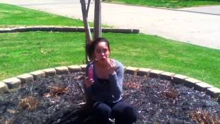 &quot;Gangnam Style Parody&quot; Fan Video