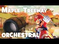 Maple Treeway Mario Kart Wii Orchestral Remix