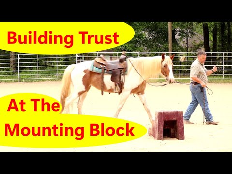 Teaching this horse to want to stand at the mounting block