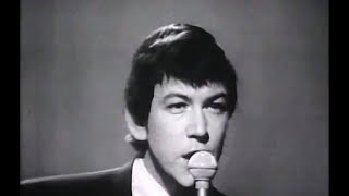 Bring It On Home To Me Animals ReStored ReCut Video STEREO REMIX HiQ Hybrid JARichardsFilm