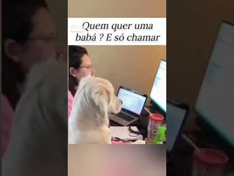 11 de novembro de 2023