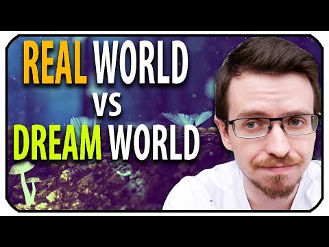 5 Differences Between the Dream World and Real World