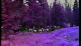 The Colorado Trail (Music Video)