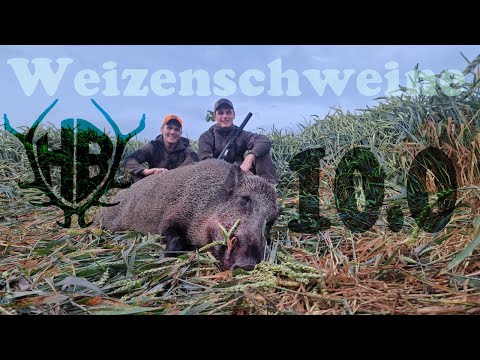 Weizenschweine 10.0 - Hunter Brothers Trailer