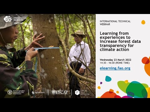 Learning from experiences to increase forest data transparency for climate action