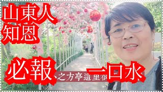 [問卦] 中國東北人高帥美，但相對南方人沒文化？