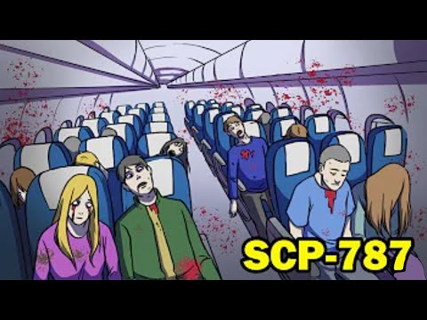 초자연적인 현상으로 무엇인가를 암시하려는 듯한 개체 SCP 787 | 항공기