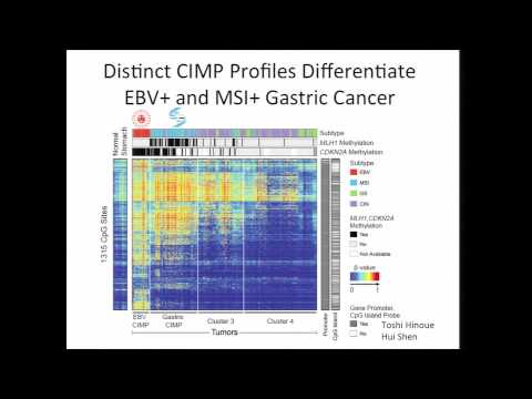 Comprehensive Molecular Characterization of Gastric Adenocarcinoma - Adam Bass