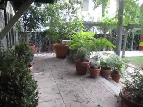 PL2439 - Beachwood Canyon House + Guest House For Rent.