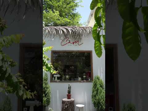 Café Hội An Có Gì Ngon? #shorts