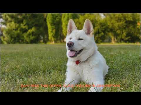 Review Battlefield Inn Springfield Hotel | United States