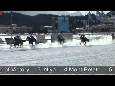 White Turf St. Moritz 2013 - 3. Februar 2013