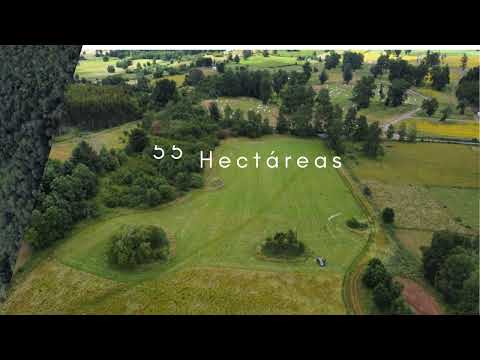 Campo en venta en Futrono, Región de los Ríos