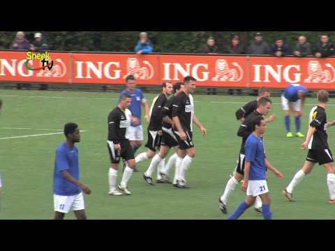 Samenvatting SWZ Boso  - NEC