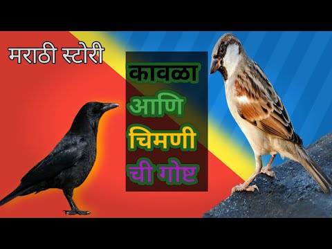 कावळा आणि चिमणी ची गोष्ट ! मराठी स्टोरी!marathi kavala ani chimani /moral stories