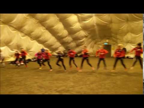 Pallokissat B2 25.11.2016