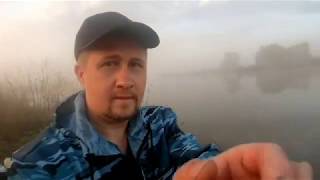 Рыбалка в заинске платная или нет