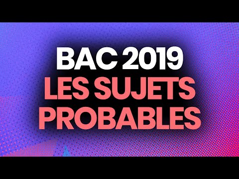 BAC 2019 - Les sujets probables selon les profs (histoire-géo, français, philo, SES, maths...)