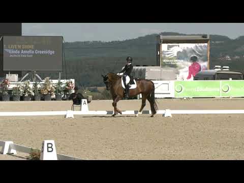 3. kolo MČR v drezuře, starší junioři – vJ (2022) – Zduchovice, 11. 8. 2024