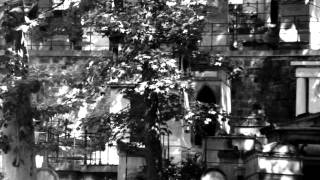ZEND AVESTA with BASHUNG "Mortel battement / Nocturne"